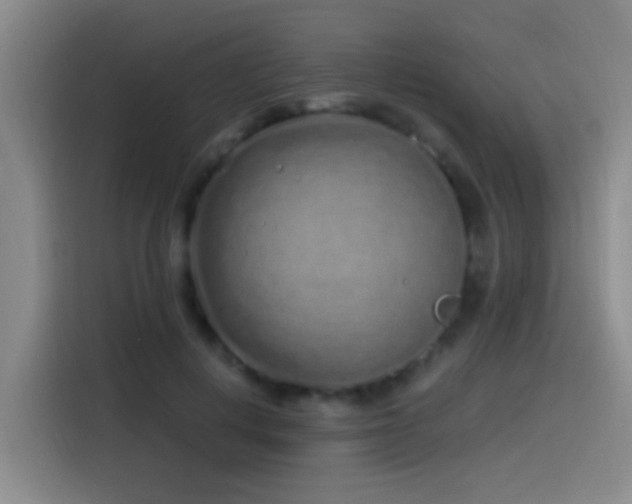 X0000115520648200911061418