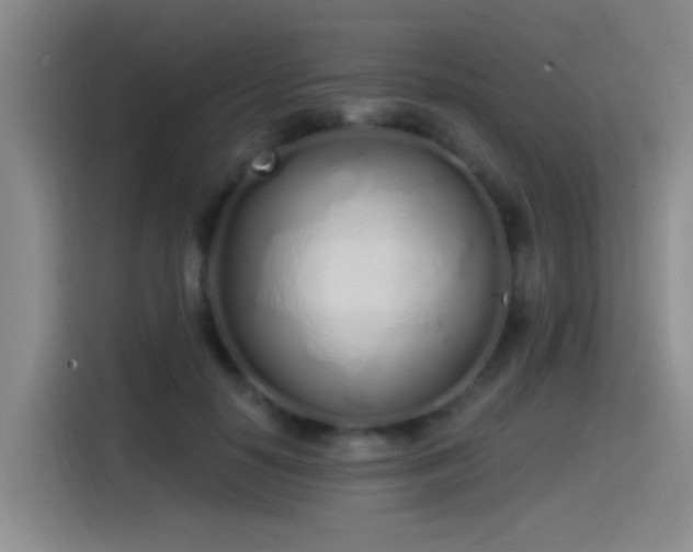 X0000115520650200911061418