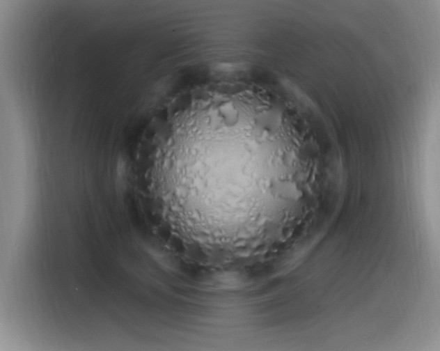X0000115520659200911061418