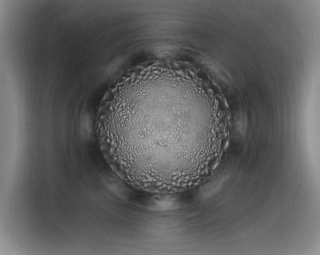 X0000115520667200911061418
