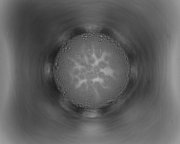 X0000115520671200911061418