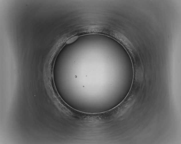 X0000115520673200911061418