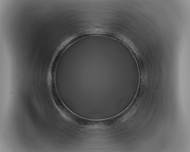 X0000115520674200911061418