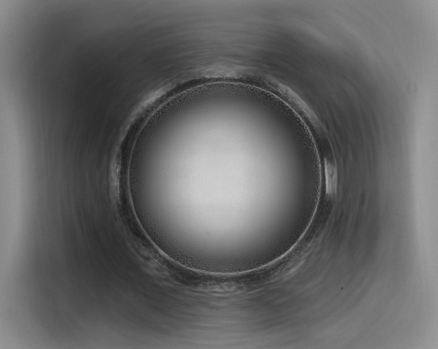 X0000115520675200911061418