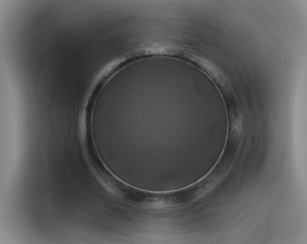 X0000115520678200911061418