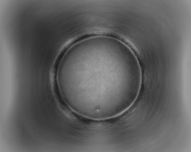 X0000115520679200911061418