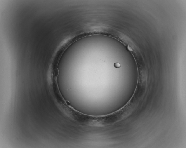 X0000115520680200911061418
