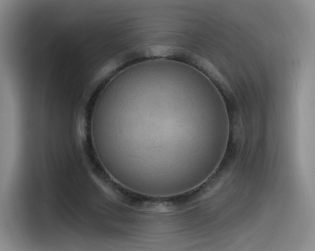 X0000115520683200911061418