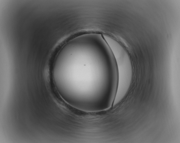 X0000115520684200911061418