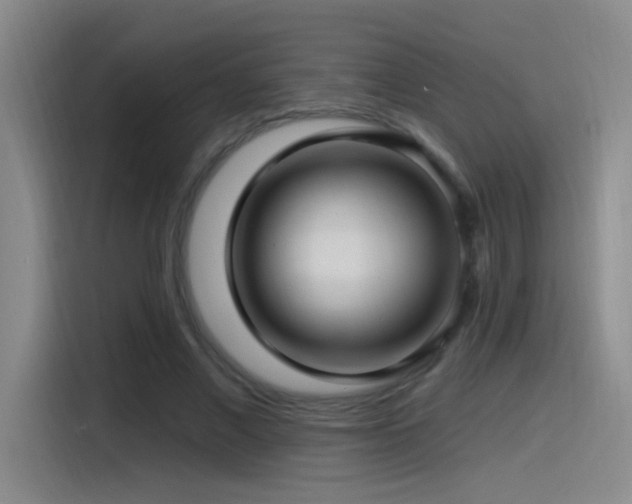 X0000115520685200911061418