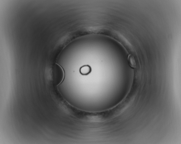 X0000115520689200911061418