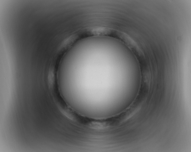 X0000115520690200911061417