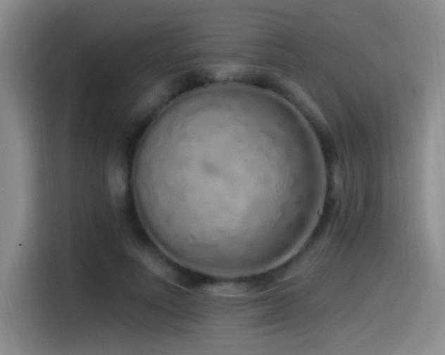 X0000115520691200911061417