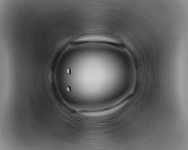 X0000115520692200911061417