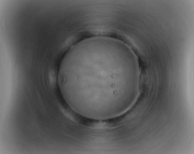 X0000115520695200911061417