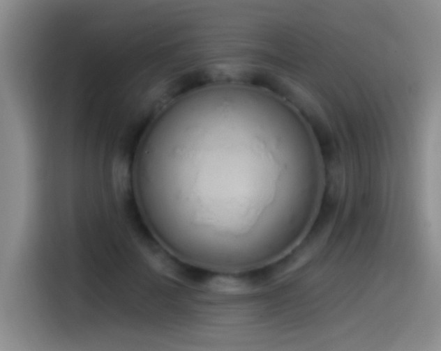 X0000115520699200911061417