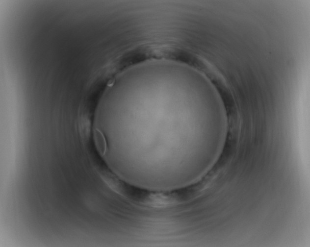 X0000115520703200911061417