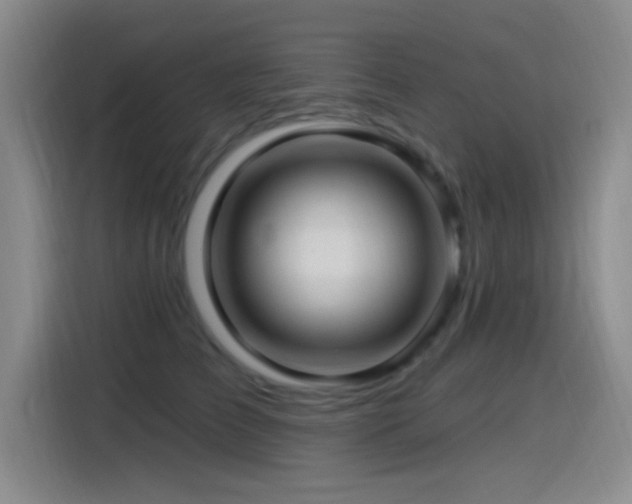 X0000115520709200911061417