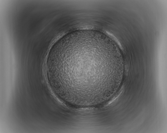 X0000115520721200911061416