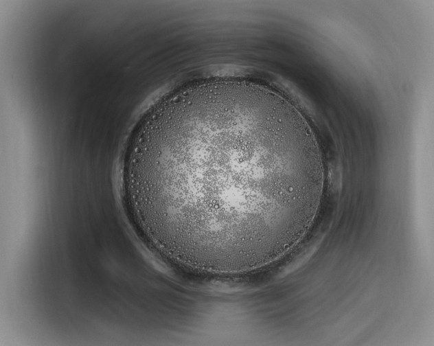 X0000115520725200911061417