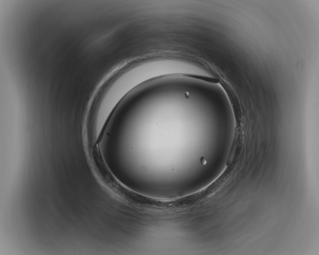 X0000115520726200911061417