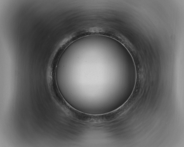 X0000115520727200911061417