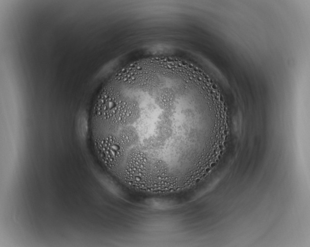 X0000115520733200911061417