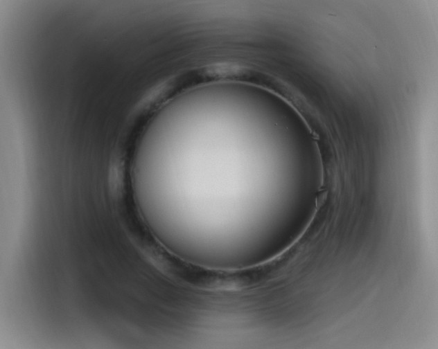 X0000115520735200911061417