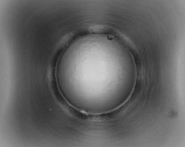 X0000115520738200911061417