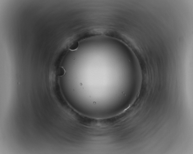 X0000115520739200911061417
