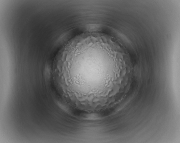 X0000115520741200911061417