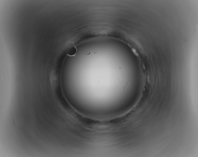 X0000115520743200911061417