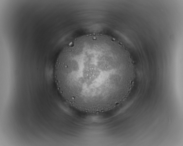 X0000115520745200911061417