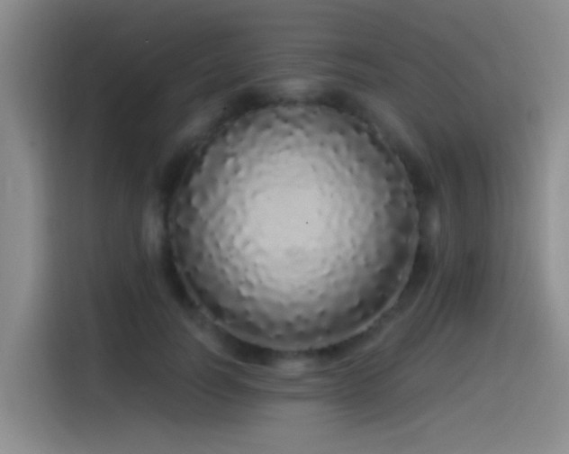 X0000115520746200911061417
