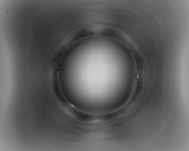 X0000115520750200911061417