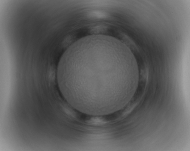 X0000115520753200911061417