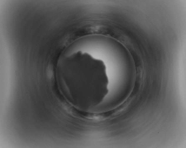 X0000115520754200911061417