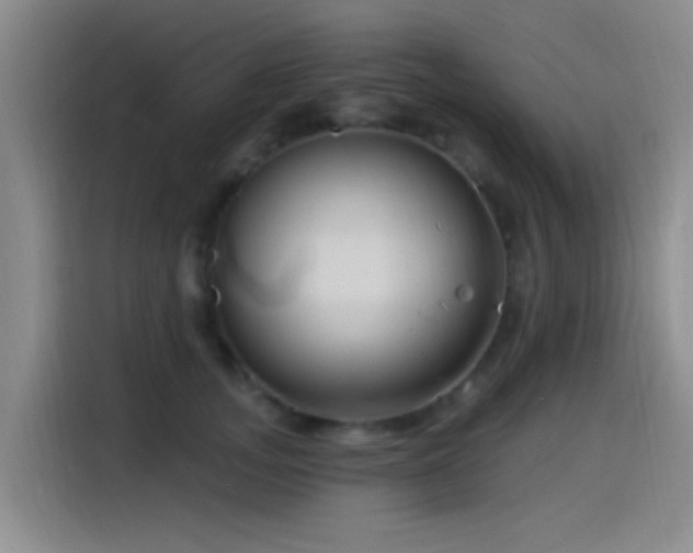 X0000115520755200911061417