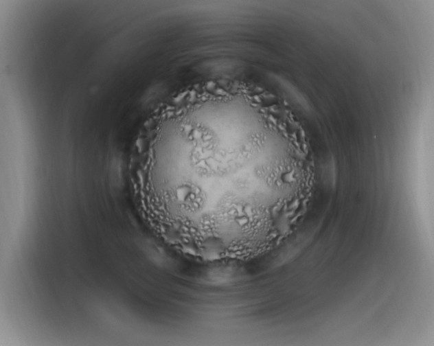 X0000115520757200911061417