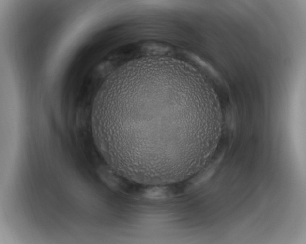 X0000115520761200911061417