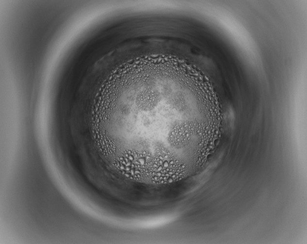 X0000115520765200911061417
