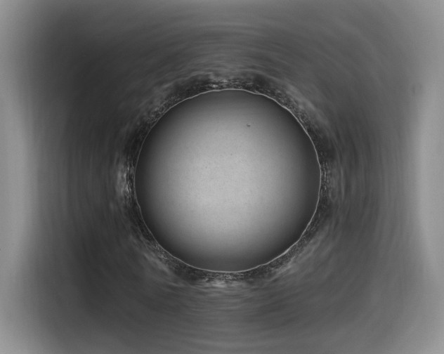X0000115520770200911061416