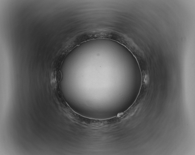 X0000115520771200911061416