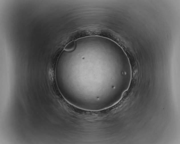 X0000115520772200911061416
