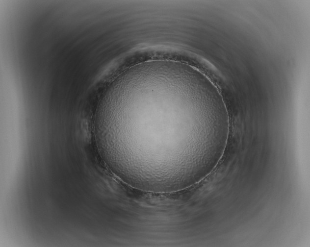 X0000115520774200911061416