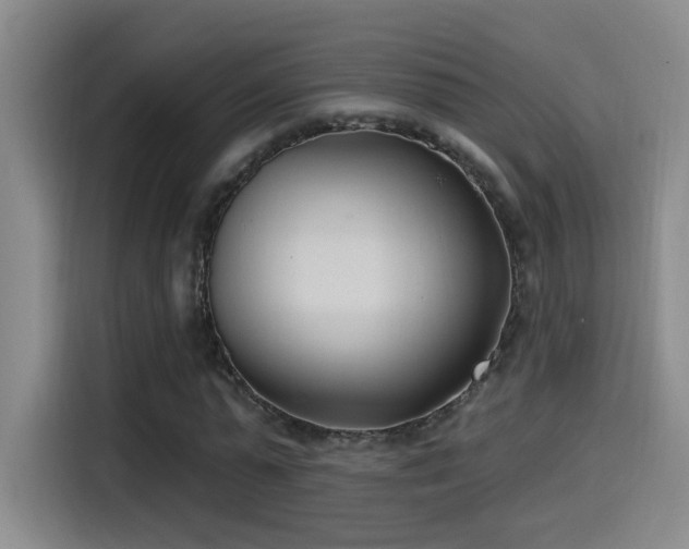 X0000115520775200911061416