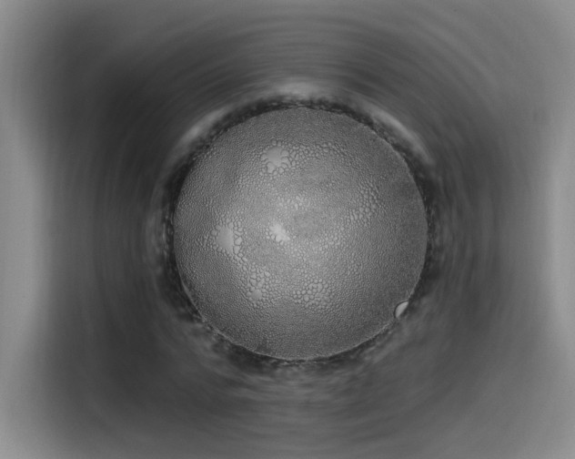 X0000115520776200911061416