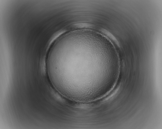 X0000115520782200911061416