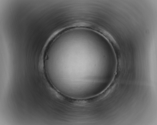 X0000115520784200911061416