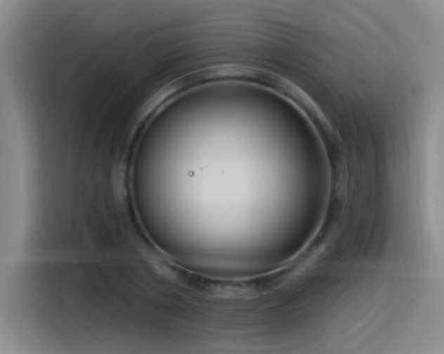 X0000115520786200911061416